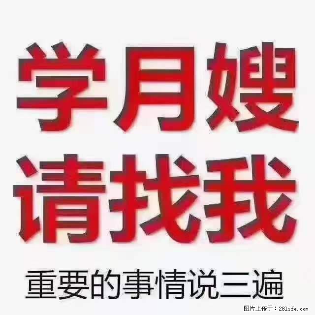 为什么要学习月嫂，育婴师？ - 其他广告 - 广告专区 - 银川分类信息 - 银川28生活网 yinchuan.28life.com