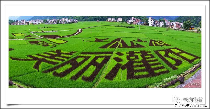 【春天，广西桂林灌阳县向您发出邀请！】开篇 - 游山玩水 - 银川生活社区 - 银川28生活网 yinchuan.28life.com