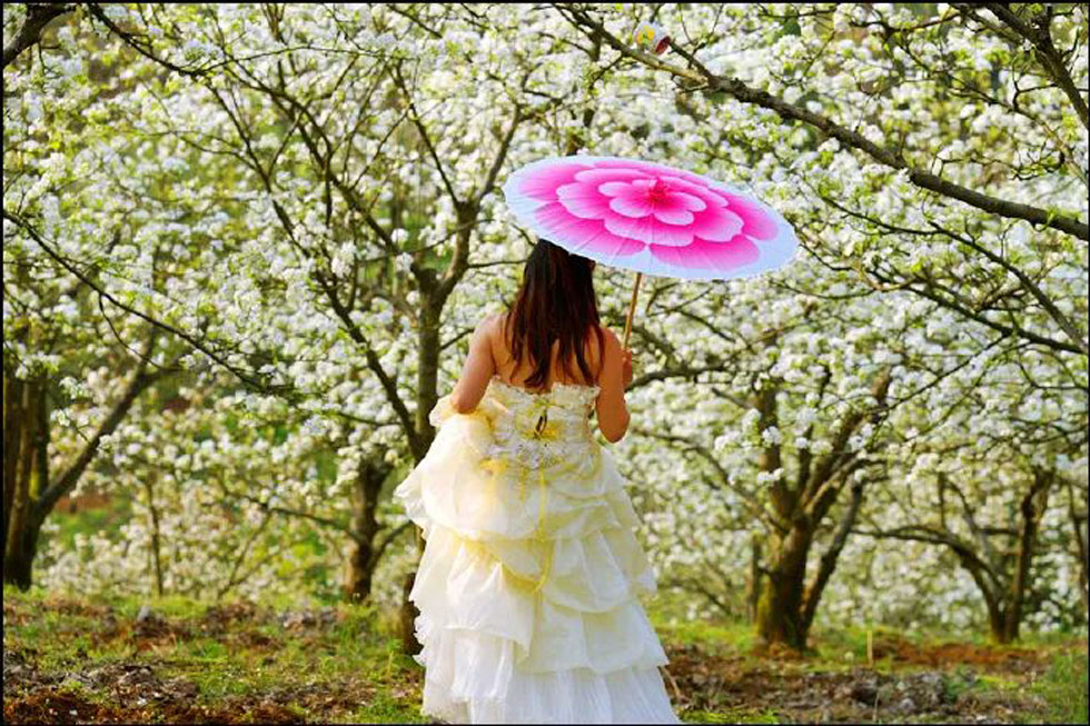 【春天，广西桂林灌阳县向您发出邀请！】我们在灌阳看梨花 - 游山玩水 - 银川生活社区 - 银川28生活网 yinchuan.28life.com