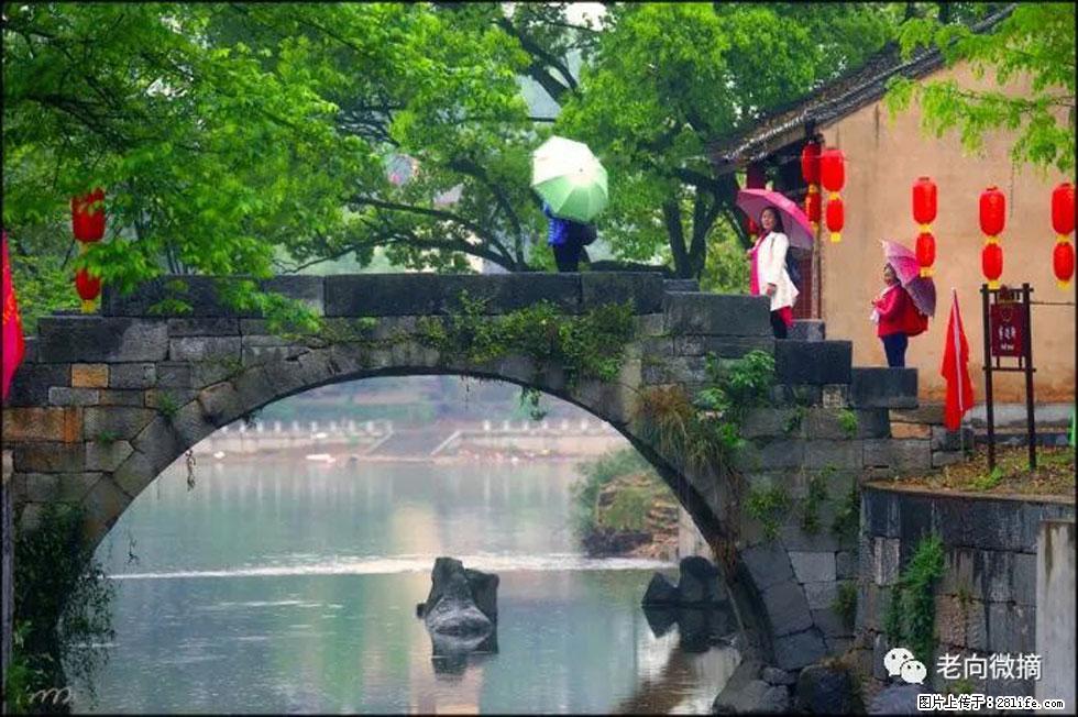 【春天,广西桂林灌阳县向您发出邀请!】江口老街又逢春 - 游山玩水 - 银川生活社区 - 银川28生活网 yinchuan.28life.com