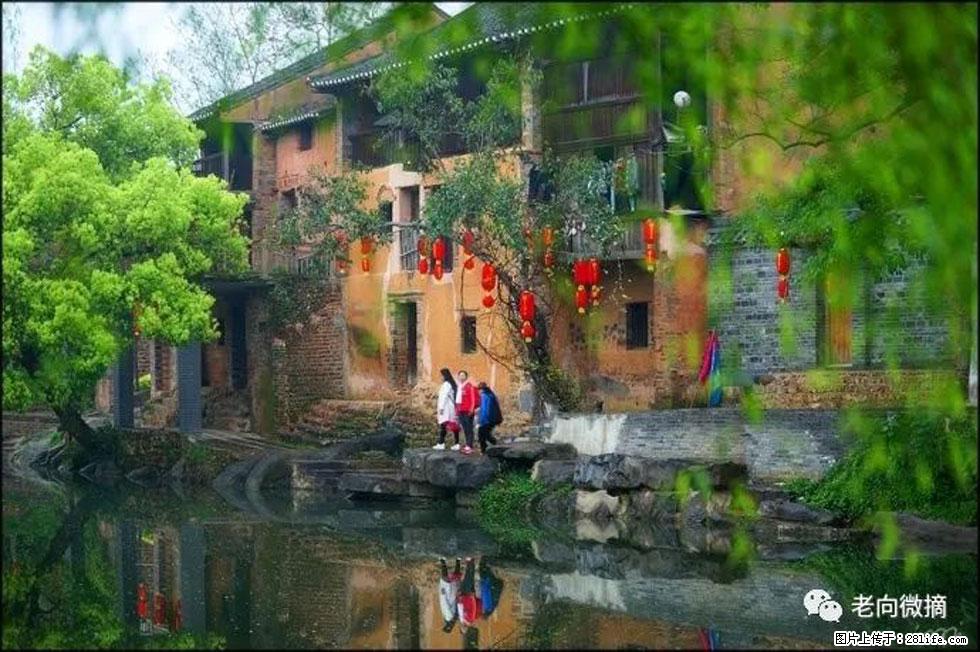 【春天,广西桂林灌阳县向您发出邀请!】江口老街又逢春 - 游山玩水 - 银川生活社区 - 银川28生活网 yinchuan.28life.com