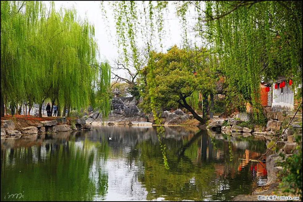 【春天,广西桂林灌阳县向您发出邀请!】江口老街又逢春 - 游山玩水 - 银川生活社区 - 银川28生活网 yinchuan.28life.com