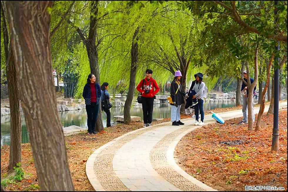 【春天,广西桂林灌阳县向您发出邀请!】江口老街又逢春 - 游山玩水 - 银川生活社区 - 银川28生活网 yinchuan.28life.com