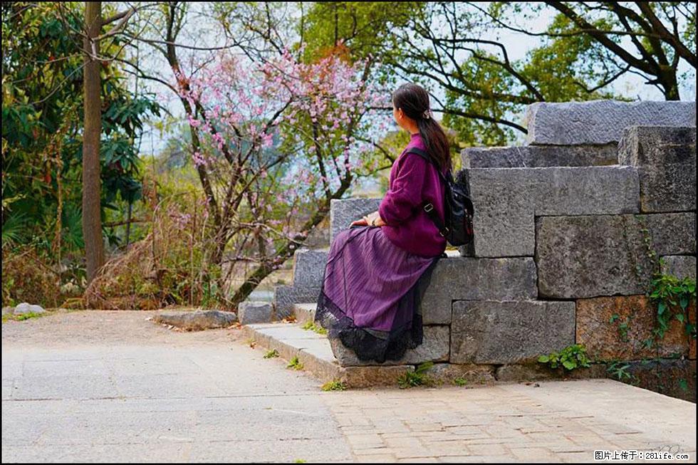 【春天,广西桂林灌阳县向您发出邀请!】江口老街又逢春 - 游山玩水 - 银川生活社区 - 银川28生活网 yinchuan.28life.com