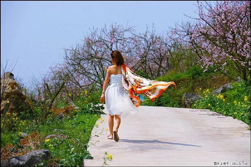 【春天，广西桂林灌阳县向您发出邀请！】望月岭上桃花开 - 游山玩水 - 银川生活社区 - 银川28生活网 yinchuan.28life.com