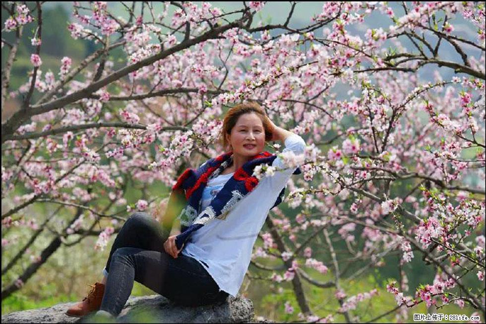 【春天，广西桂林灌阳县向您发出邀请！】望月岭上桃花开 - 游山玩水 - 银川生活社区 - 银川28生活网 yinchuan.28life.com