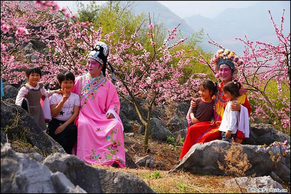 【春天，广西桂林灌阳县向您发出邀请！】望月岭上桃花开 - 游山玩水 - 银川生活社区 - 银川28生活网 yinchuan.28life.com