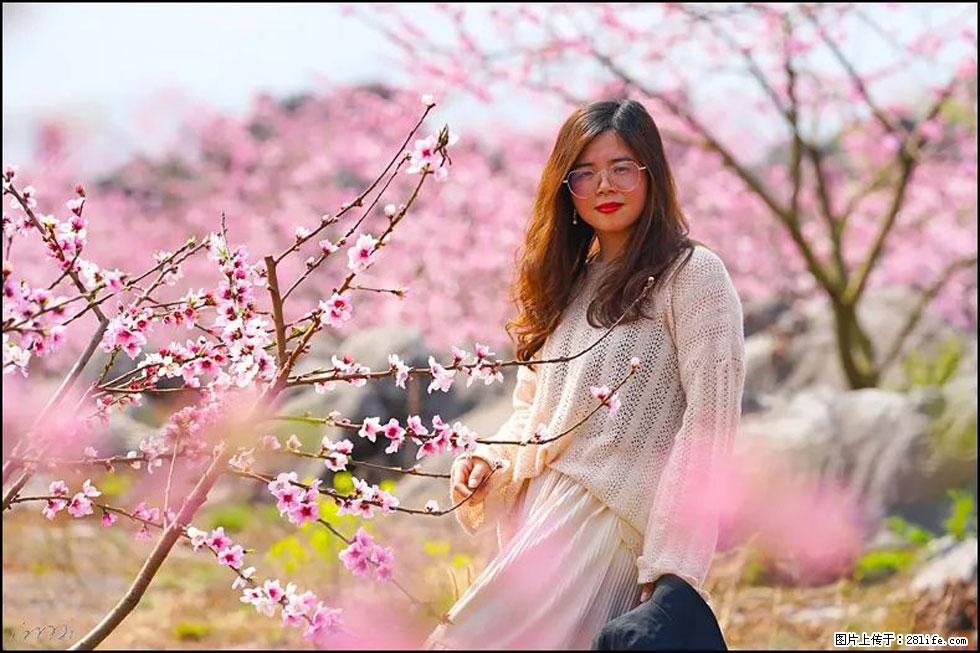 【春天，广西桂林灌阳县向您发出邀请！】望月岭上桃花开 - 游山玩水 - 银川生活社区 - 银川28生活网 yinchuan.28life.com
