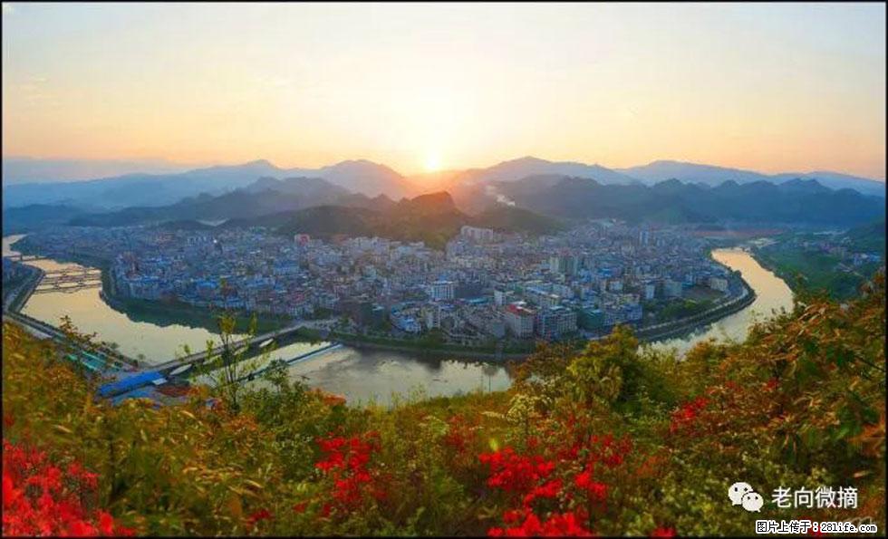 【春天,广西桂林灌阳县向您发出邀请!】登麒麟山,相约映山红 - 游山玩水 - 银川生活社区 - 银川28生活网 yinchuan.28life.com