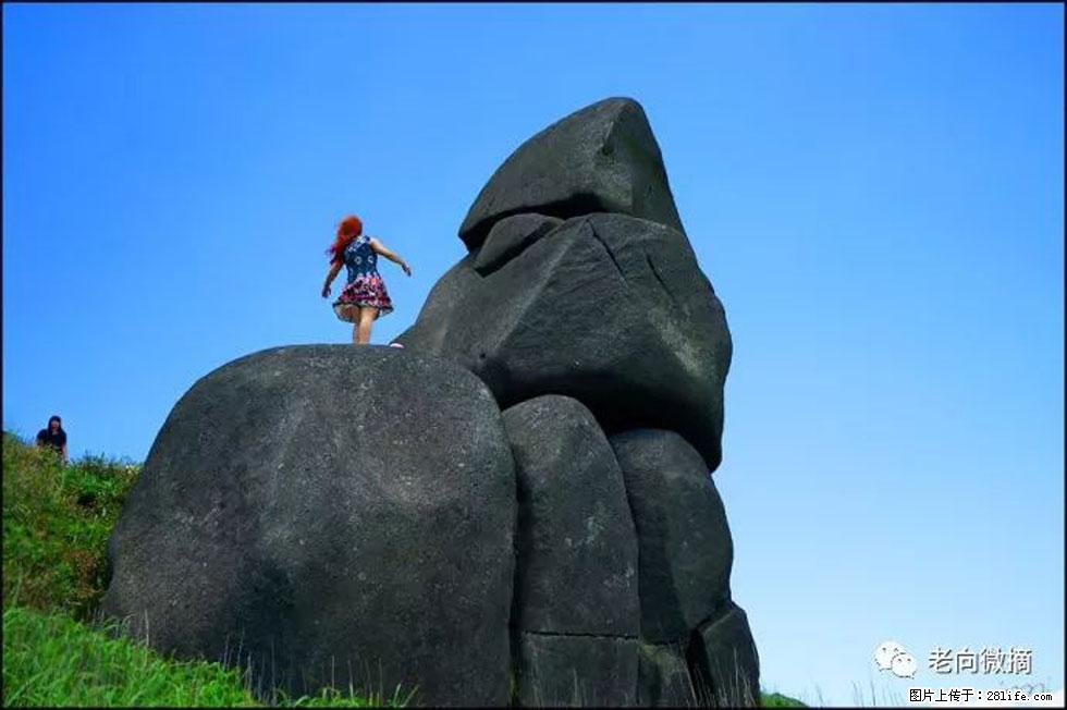 【春天，广西桂林灌阳县向您发出邀请！】宝盖山上映山红 - 游山玩水 - 银川生活社区 - 银川28生活网 yinchuan.28life.com