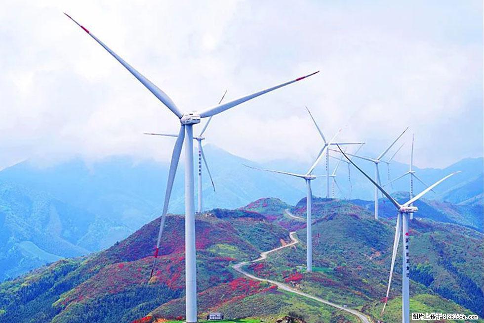 【春天，广西桂林灌阳县向您发出邀请！】春木界上映山红 - 游山玩水 - 银川生活社区 - 银川28生活网 yinchuan.28life.com