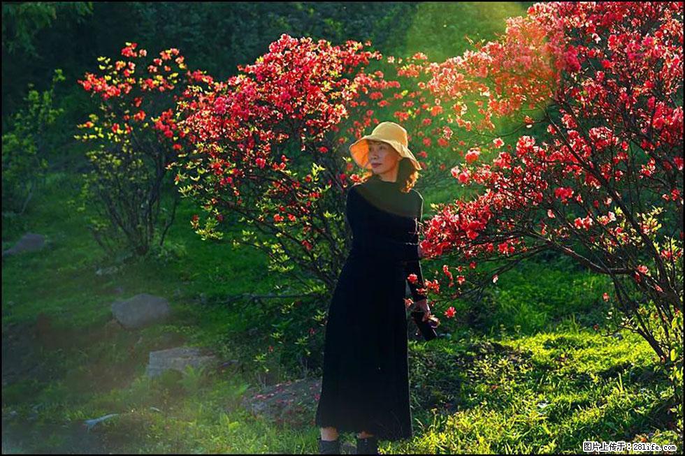 【春天，广西桂林灌阳县向您发出邀请！】春木界上映山红 - 游山玩水 - 银川生活社区 - 银川28生活网 yinchuan.28life.com