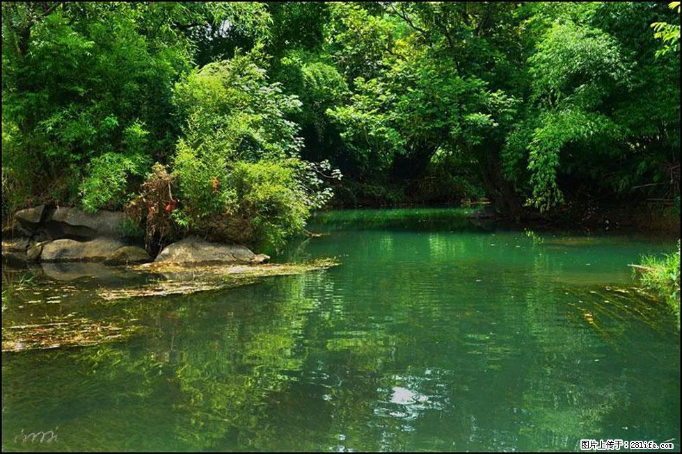 【春天,广西桂林灌阳县向您发出邀请!】如梦似幻莲溪庐 - 游山玩水 - 银川生活社区 - 银川28生活网 yinchuan.28life.com