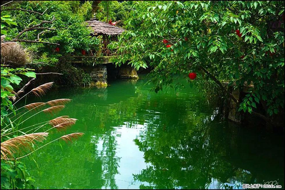 【春天,广西桂林灌阳县向您发出邀请!】如梦似幻莲溪庐 - 游山玩水 - 银川生活社区 - 银川28生活网 yinchuan.28life.com