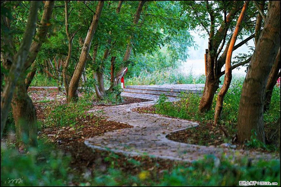 【春天，广西桂林灌阳县向您发出邀请！】熊家寨湿地公园 - 游山玩水 - 银川生活社区 - 银川28生活网 yinchuan.28life.com