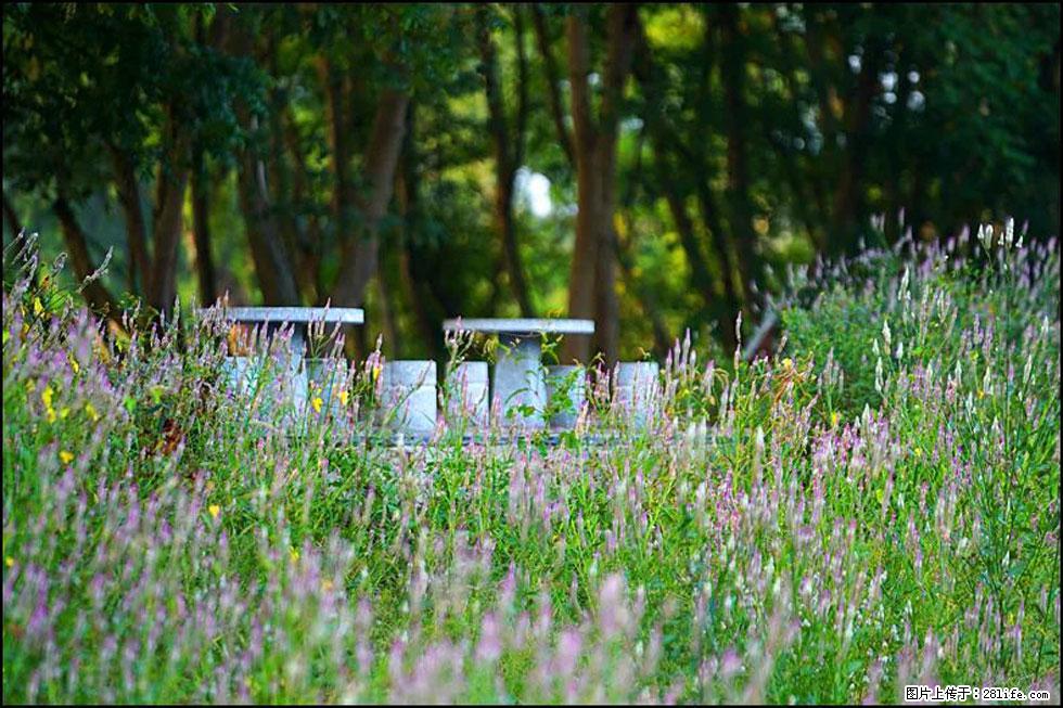 【春天，广西桂林灌阳县向您发出邀请！】熊家寨湿地公园 - 游山玩水 - 银川生活社区 - 银川28生活网 yinchuan.28life.com