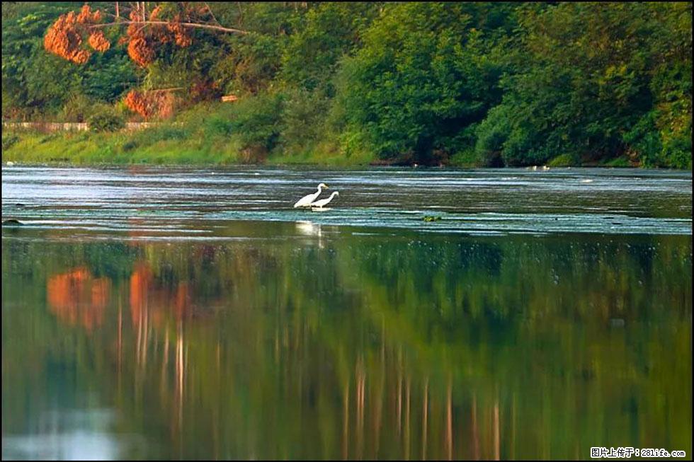 【春天，广西桂林灌阳县向您发出邀请！】熊家寨湿地公园 - 游山玩水 - 银川生活社区 - 银川28生活网 yinchuan.28life.com
