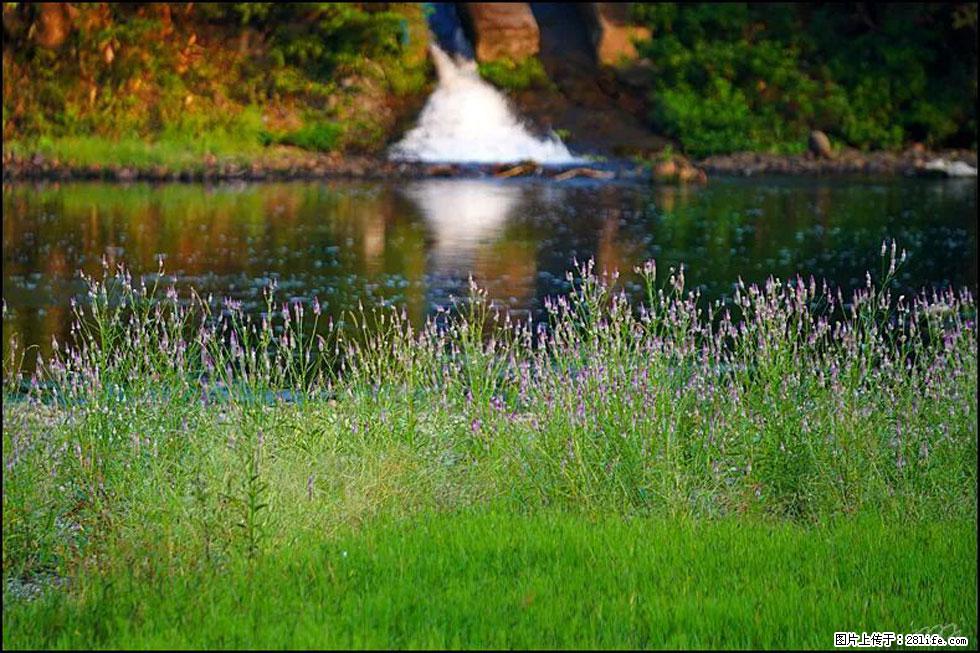 【春天，广西桂林灌阳县向您发出邀请！】熊家寨湿地公园 - 游山玩水 - 银川生活社区 - 银川28生活网 yinchuan.28life.com