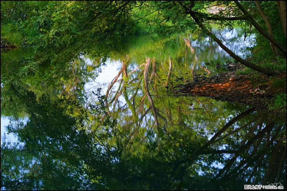 【春天，广西桂林灌阳县向您发出邀请！】熊家寨湿地公园 - 游山玩水 - 银川生活社区 - 银川28生活网 yinchuan.28life.com