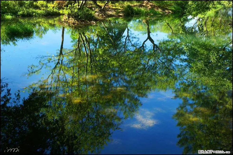 【春天，广西桂林灌阳县向您发出邀请！】熊家寨湿地公园 - 游山玩水 - 银川生活社区 - 银川28生活网 yinchuan.28life.com