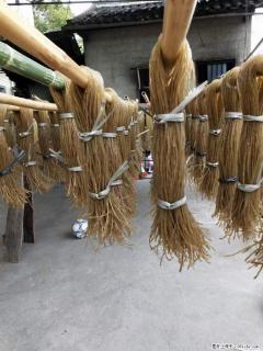 【灌阳正宗红薯粉】美女家里自己做的，干净卫生，假一赔十，价格合理，抢购电话：13737312895 - 银川28生活网 yinchuan.28life.com