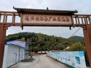 【灌阳县油茶产业示范区】一个有着充实的精神生活的人，对待身外之物自会有一种淡泊的态度 - 银川28生活网 yinchuan.28life.com