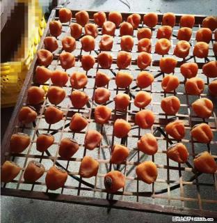 广西桂林平乐桥亭【柿饼之乡】2025年纯手工制作、无任何添加剂的第一批柿饼准备上市了，欢迎联系订购！ - 银川28生活网 yinchuan.28life.com