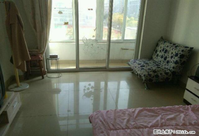 金凤万达西君邑公寓出租1200拎包入住 - 房屋出租 - 房屋租售 - 银川分类信息 - 银川28生活网 yinchuan.28life.com