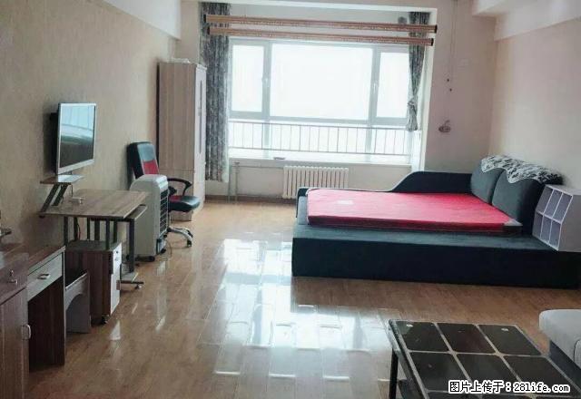 特价押一付一悦海新天地精装公寓家具家电齐全面南采光好随时看房 - 房屋出租 - 房屋租售 - 银川分类信息 - 银川28生活网 yinchuan.28life.com