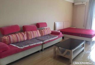 （可短租可季付）紫荆花商务中心54平精装公寓 采光好 随时看 - 银川28生活网 yinchuan.28life.com