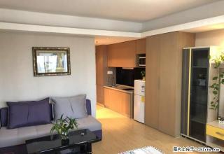 森林公园森林半岛45克拉 45平一室一厅 豪华装修 特惠招租 - 银川28生活网 yinchuan.28life.com