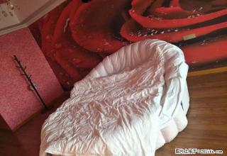 短租公寓 实景拍摄 随时看房 全新家具家电 干净整洁 - 银川28生活网 yinchuan.28life.com