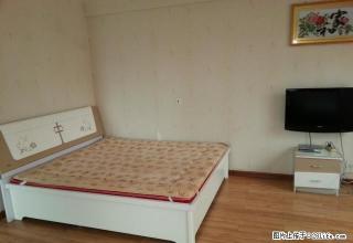 租期 灵活可月付季付新一中旁紫微星座公寓配全套家具家电 - 银川28生活网 yinchuan.28life.com