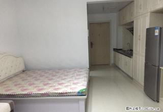 森林半岛精装家具家电齐全公寓 环境舒适 拎包入住 欢迎来电 - 银川28生活网 yinchuan.28life.com