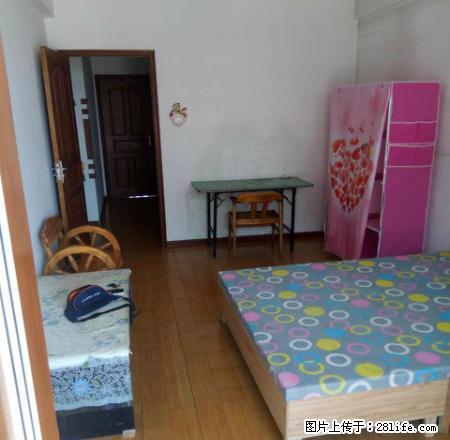 (单间出租)仅限女生 BRT良田附近 全新精装修 无线网 - 房屋出租 - 房屋租售 - 银川分类信息 - 银川28生活网 yinchuan.28life.com