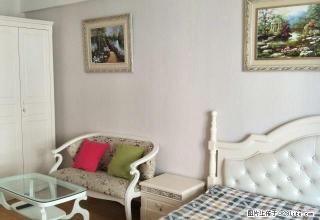 金凤万达旁阅海新天地精装欧式公寓高端大气温馨可短租可月付随看 - 银川28生活网 yinchuan.28life.com