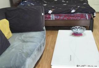 悦海新天地3号公寓精装修屋子温馨家电齐全拎包入住楼层好采光好 - 银川28生活网 yinchuan.28life.com