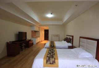 西夏万达精装修三面采光公寓出租大面积办公住家均可 - 银川28生活网 yinchuan.28life.com