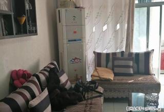 01 新华街 康怡园 豪华装修 配备高档家具家电 从没出租过 - 银川28生活网 yinchuan.28life.com