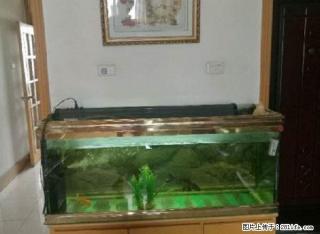 同心北街同心苑小区性价比超高干净整洁配套齐全可拎包入住！ - 银川28生活网 yinchuan.28life.com