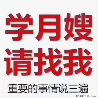 【招聘】月嫂，上海徐汇区 - 银川28生活网 yinchuan.28life.com