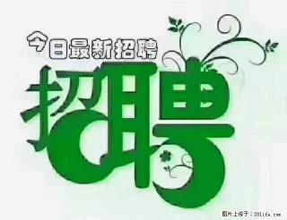 上海青浦区招仓管 - 银川28生活网 yinchuan.28life.com