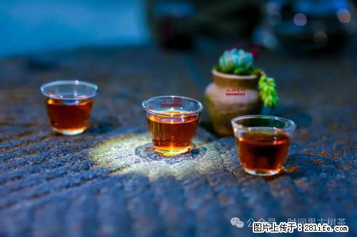 时间果百年古树2025年春红茶 - 购物交流 - 银川生活社区 - 银川28生活网 yinchuan.28life.com