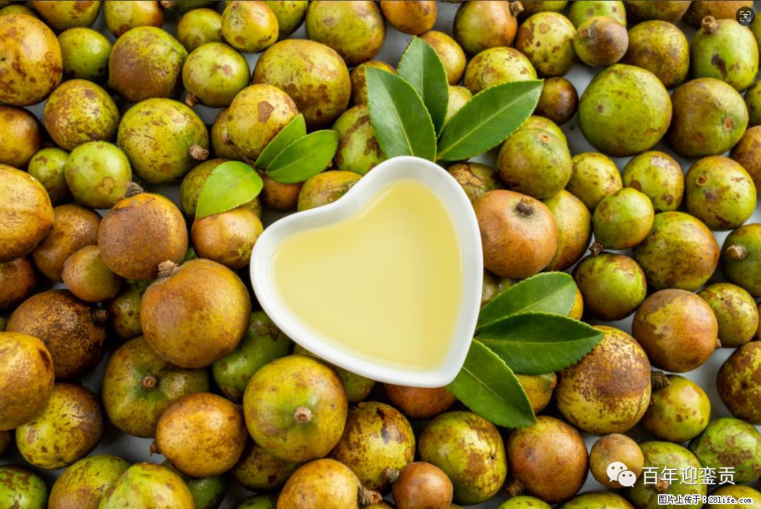 世界没有真相,只有认知,最好的食用油是中国的山茶油! - 银川生活资讯 - 银川28生活网 yinchuan.28life.com