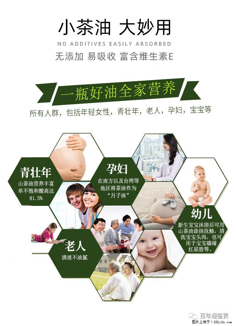 世界没有真相,只有认知,最好的食用油是中国的山茶油! - 银川生活资讯 - 银川28生活网 yinchuan.28life.com