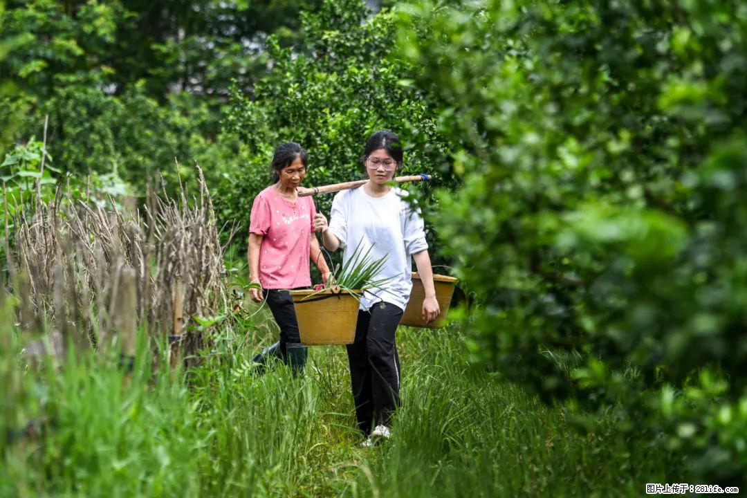 全网追的“扁担女孩”，找了一份暑假工，时薪12元 - 银川生活资讯 - 银川28生活网 yinchuan.28life.com