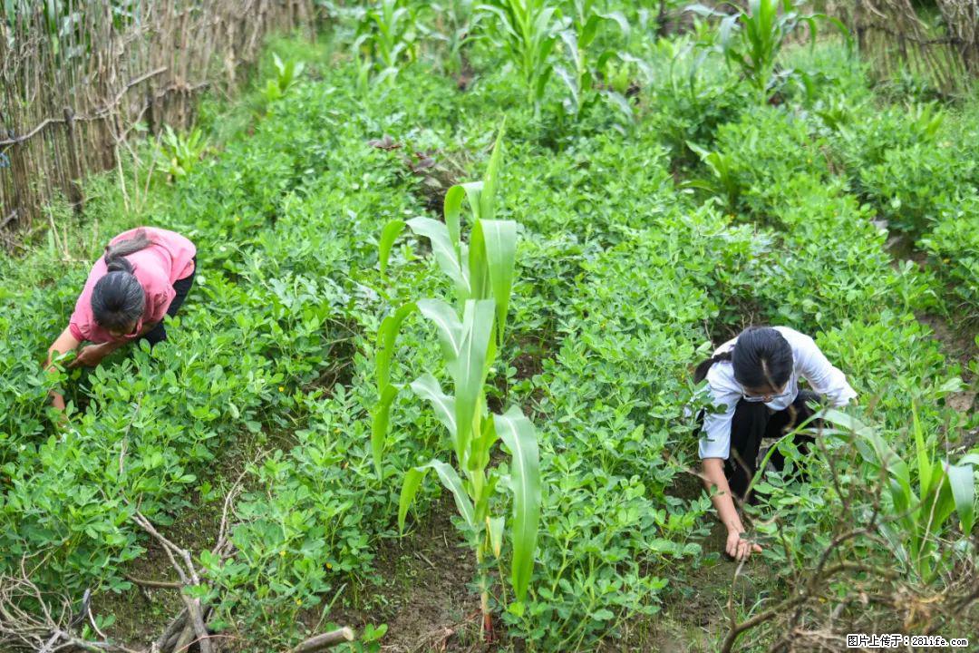 全网追的“扁担女孩”，找了一份暑假工，时薪12元 - 银川生活资讯 - 银川28生活网 yinchuan.28life.com