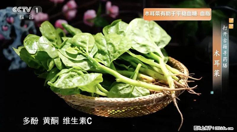 比牛奶补钙还厉害!凉血解毒、稳血糖...这菜冬天必吃,很多人却当草 - 银川生活资讯 - 银川28生活网 yinchuan.28life.com