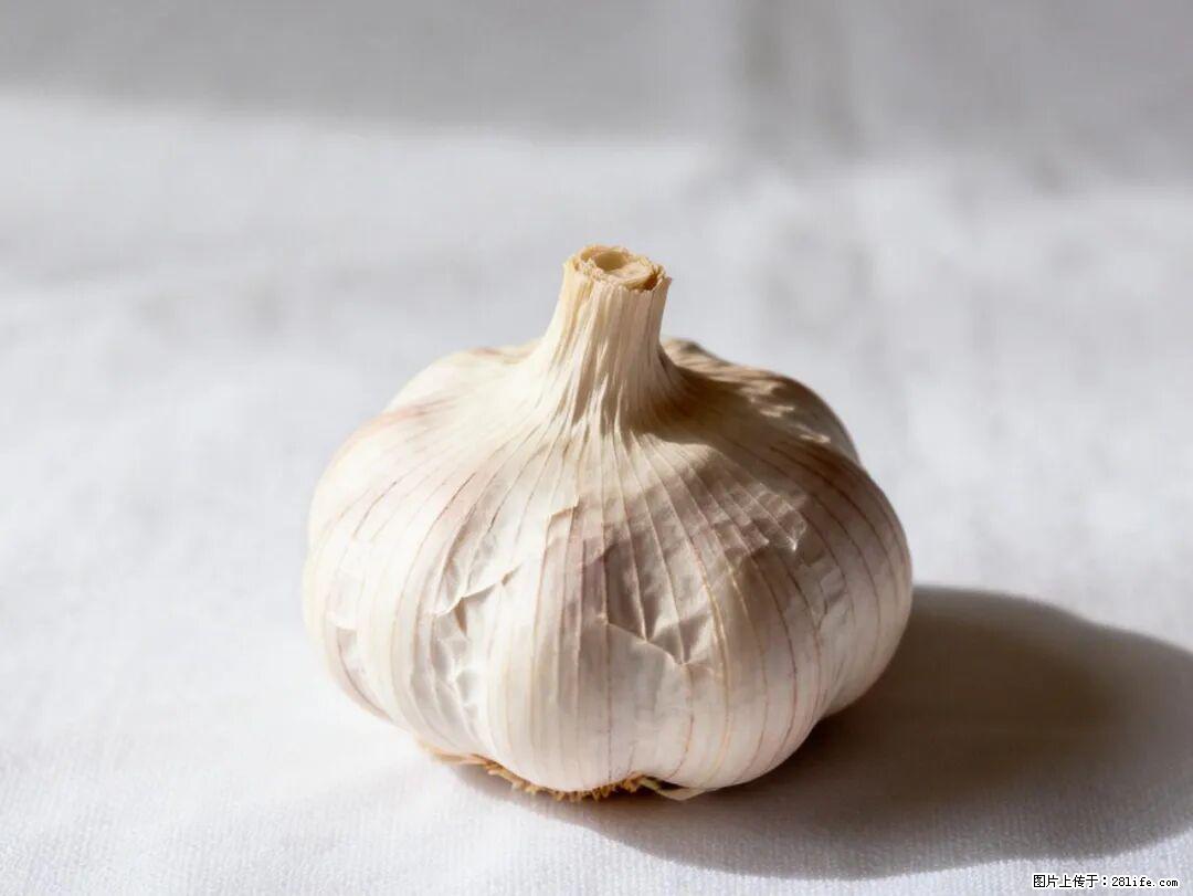 关于大蒜，除了“天然抗生素”，这4个谣言更该警惕! - 银川生活资讯 - 银川28生活网 yinchuan.28life.com