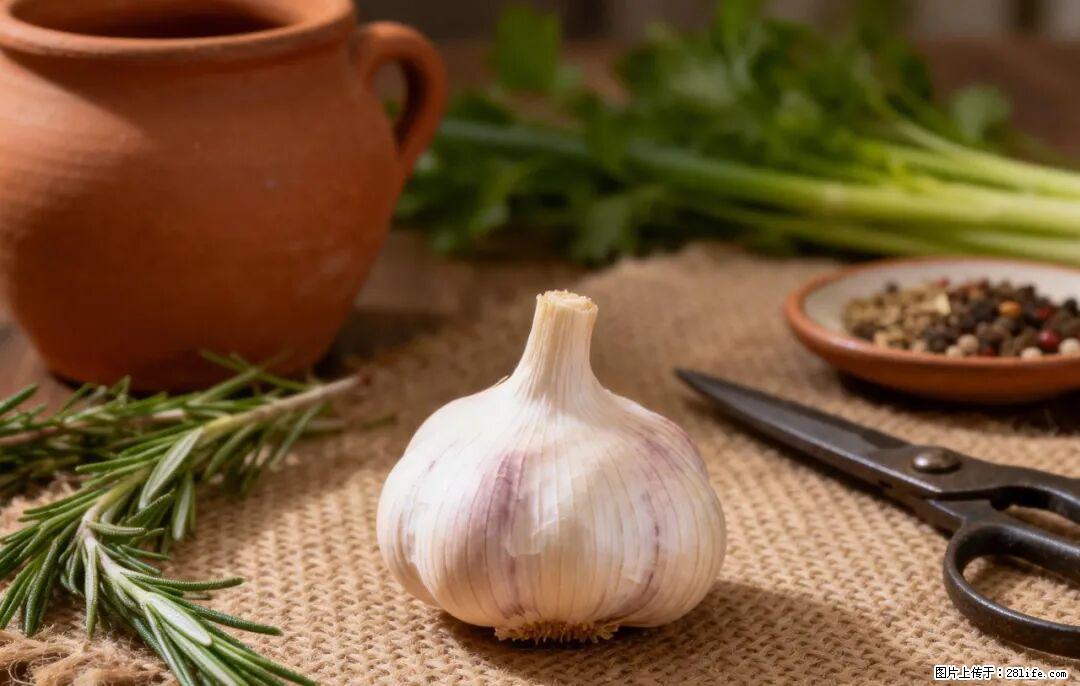 关于大蒜，除了“天然抗生素”，这4个谣言更该警惕! - 银川生活资讯 - 银川28生活网 yinchuan.28life.com